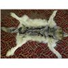 Image 1 : Wolf Skin Rug