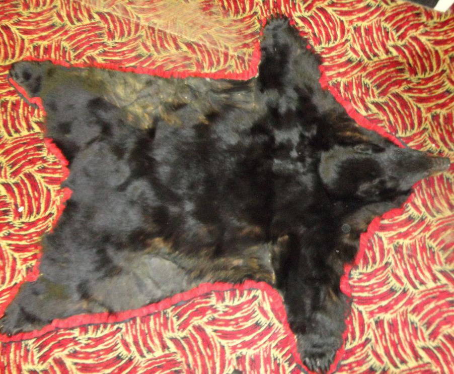 Bear Skin Rug