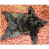 Image 1 : Bear Skin Rug