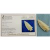 Image 1 : 3.5`` Etley Arrowhead