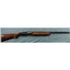 Image 2 : Remington Model 1100 12ga. Shotgun