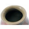 Image 3 : Native American Pot