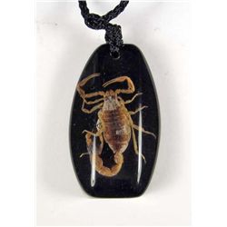 7212 - REAL SCORPION IN BLACK RESIN PENDANT W/ ADJUSTABLE NECKLACE
