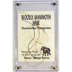 9204 - WOOLLY MAMMOTH HAIR IN CASE
