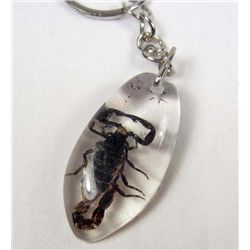 6906 - REAL SCORPION IN CLEAR RESIN KEYCHAIN - 1.75"
