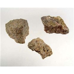 9203 - LOT OF 3 DINOSAUR BONE FRAGMENTS