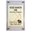 Image 1 : 9205 - WOOLLY MAMMOTH HAIR IN CASE