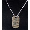 Image 1 : 1138 - SILVER DOG TAG W/ CHAIN - MARKED 925