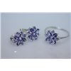 Image 1 : 28.06 CTW TANZANITE SET .925 STERLING SILVER