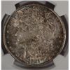 Image 2 : 1921-D MORGAN DOLLAR NGC MS 63 OBV COLORS!