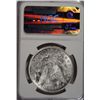 Image 4 : 1921-D MORGAN DOLLAR NGC MS 63 OBV COLORS!