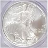 Image 2 : 2006-W SILVER AMERICAN EAGLE 20TH ANNIVERSARY PCGS MS-69 FIRST STRIKE