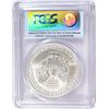 Image 4 : 2006-W SILVER AMERICAN EAGLE 20TH ANNIVERSARY PCGS MS-69 FIRST STRIKE