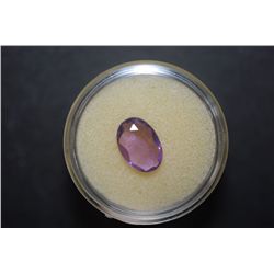 Oval-Shaped Purple Gemstone;  EST. $5-10