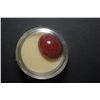 Image 1 : Large Oval-Shaped Red Marbled Gemstone; EST. $10-25