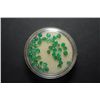 Image 2 : Round Green Gemstones; Lot of 40; EST. $10-20
