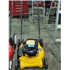 Image 1 : Briggs&Stratton gas powered mower