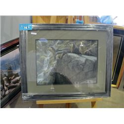Framed print by Robert Bateman