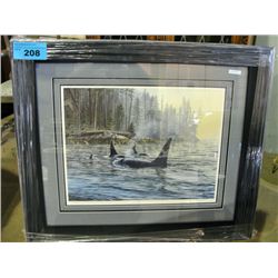 Framed LEP print by Bill Maximick