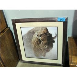 Framed print by Robert Bateman