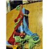 Image 1 : Hammock