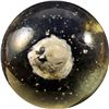 Image 2 : Marbles - Sulphide: Squirrel, 1-1/2" 9.1