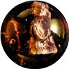 Image 4 : Marbles: Lot #6. Sulphide. Lion. 1-1/2". Polished.
