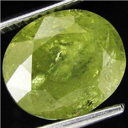 7.65ct Huge Demantoid Garnet (GEM-29964)