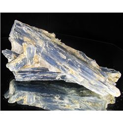 860ct Kyanite Crystal Cluster (MIN-002196)