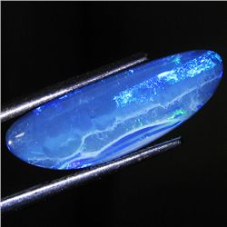 4.05ct Australian Black Opal Doublet Full Fire (GEM-46596)