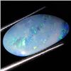 5.35ct Australian Black Opal Doublet Full Fire (GEM-36482)