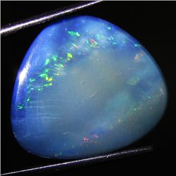 10.25ct Australian Black Opal Doublet Full Fire (GEM-46610)