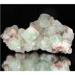 349gm Apophylliite Crystal Cluster (MIN-001812)