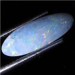 3.25ct Australian Black Opal Doublet Full Fire (GEM-35848)