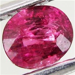 0.49ct Pink Tourmaline Appraised $232 (GEM-44315)