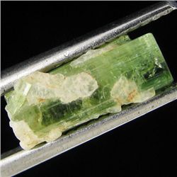 1.9ct Blue Green Cuprian Tourmaline Facet Rough  (GEM-24711B)