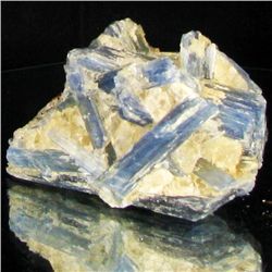 365ct Kyanite Crystal Cluster (MIN-002191)