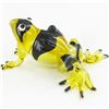 Image 1 : Handcrafted Blown Glass Frog (DEC-987)