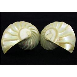 Pearlized Polished Shell Earrings (JEW-4423)
