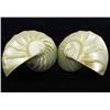Image 1 : Pearlized Polished Shell Earrings (JEW-4423)