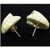 Image 2 : Pearlized Polished Shell Earrings (JEW-4423)