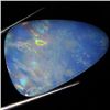 17.25ct Australian Black Opal Doublet Full Fire (GEM-36464)