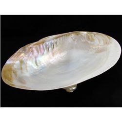 Shell Soapdish (DEC-689)