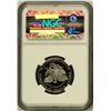 Image 2 : 2005-W Platinum $50 Eagle Gem Pf70 Ultra Cameo NGC,HIGEST POSSIBLE GRADE