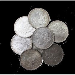 Lot of 10 UNC Morgan Dollars