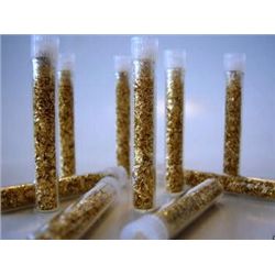 (10) Gold Flakes in Vials- No Liquid- Non Bullion