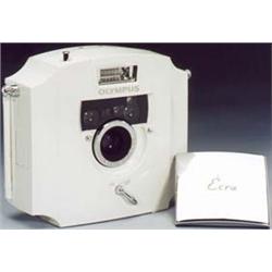 "Olympus Ecru", 1991