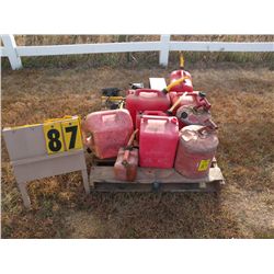 Gas cans, shop light, organizer