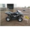 Image 1 : 2005 Can Am Rally 200 RFLAK17195A003319