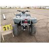 Image 4 : 2005 Can Am Rally 200 RFLAK17195A003319